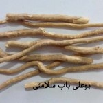 گیاه مسواک با اثر تقویت کننده لثه و فک