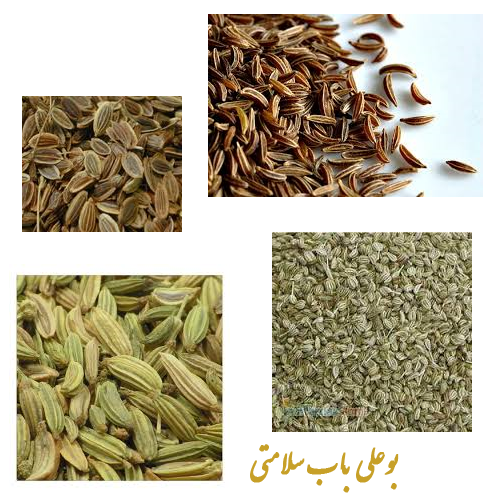 درمان نفخ و صدای شکم