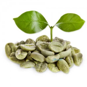 خواص و مضرات قهوه سبز