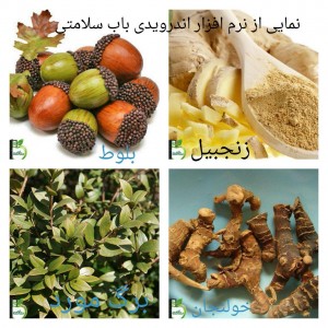 معجون تقویت قوای جنسی